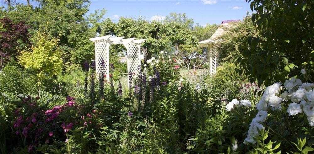 Hartley Homestead Boutique Bed & Breakfast Clyde Exterior photo